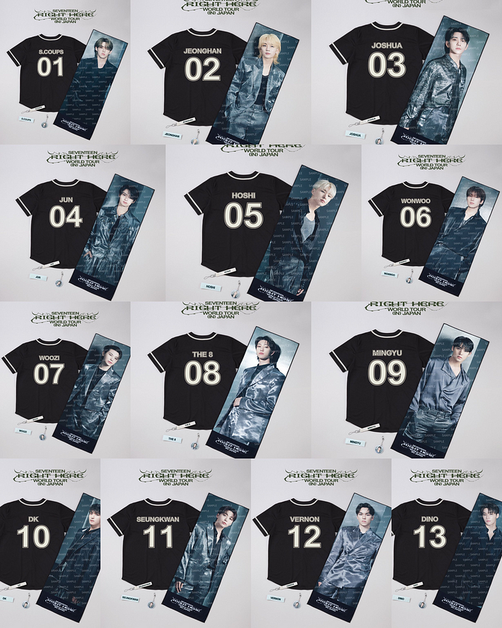 [PRE-ORDER] SEVENTEEN '17 Right Here' Jersey
