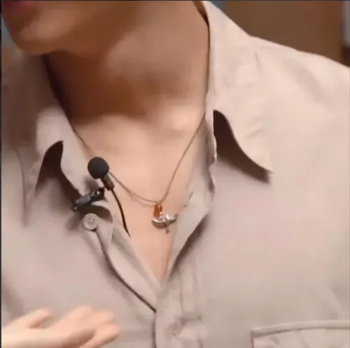 [PRE-ORDER] K-Drama 'Snowdrop' – Dove Necklace