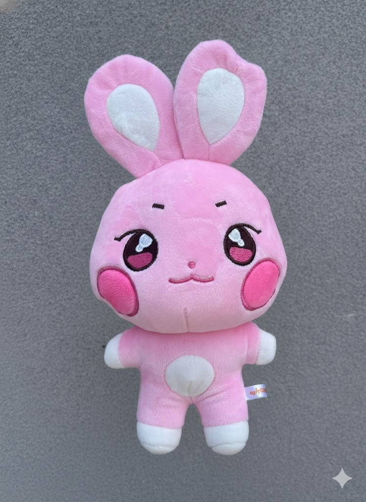 [PRE-ORDER] Ddeongbyeoli Aniteez Plushies (25cm)