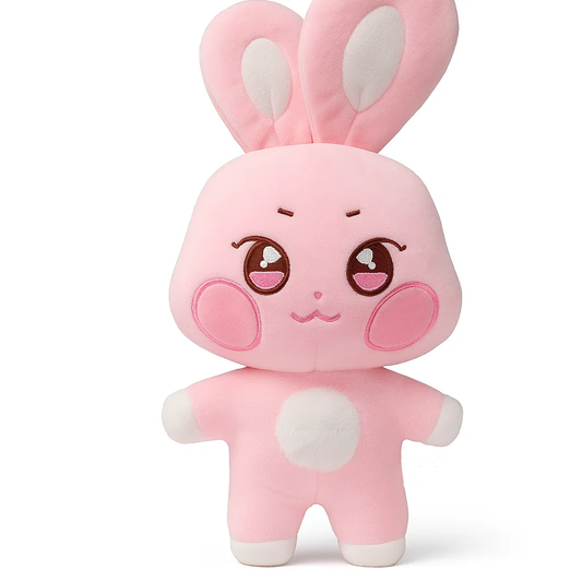 COMING SOON ✈️: Ddeongbyeoli Aniteez Plushies (25cm)