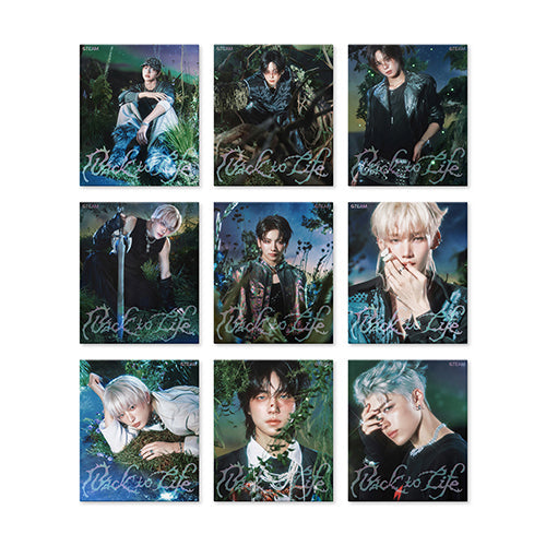 &TEAM Back to Life ROAR Ver. album