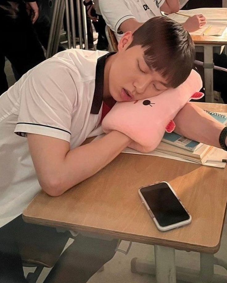 [PRE-ORDER] K-Drama 'Weak Hero Class' – Suho’s Arm Rest Pillow