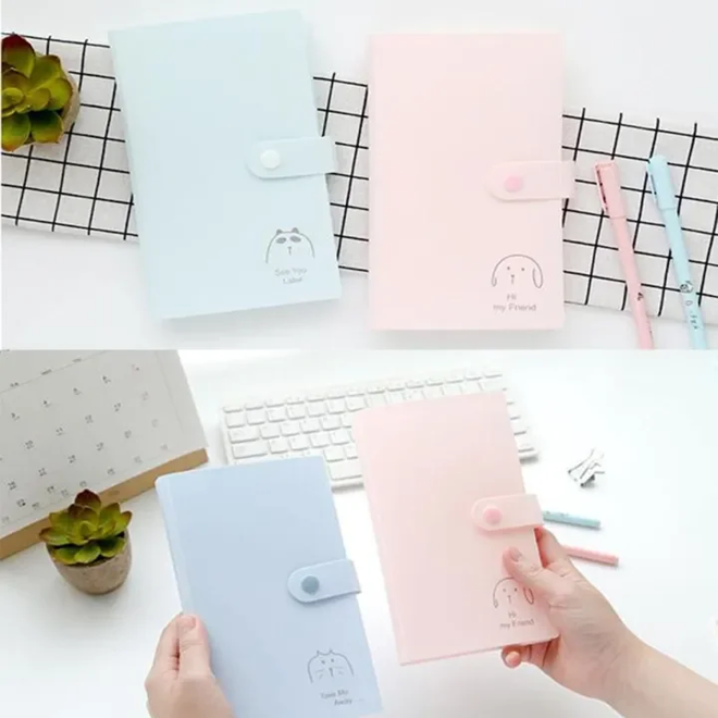 [Në Gjendje] Pink/Blue Binder (240 pockets)