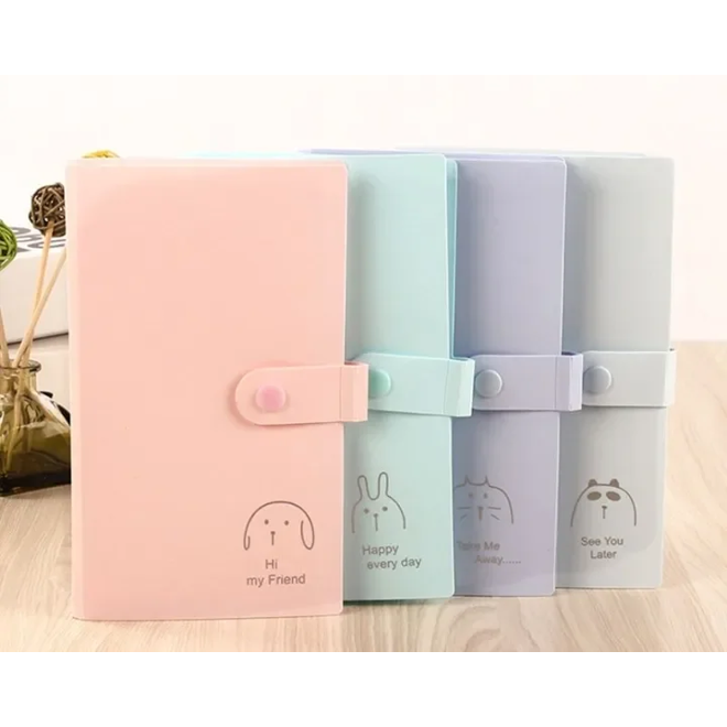 [Në Gjendje] Pink/Blue Binder (240 pockets)