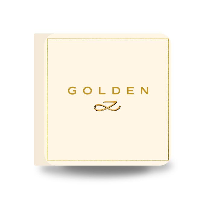[PRE-ORDER] BTS JUNGKOOK Golden (solid ver.) Mini Photocard Binder Series