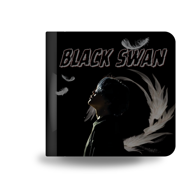 [PRE-ORDER] BTS BLACK SWAN Mini Photocard Binder Series