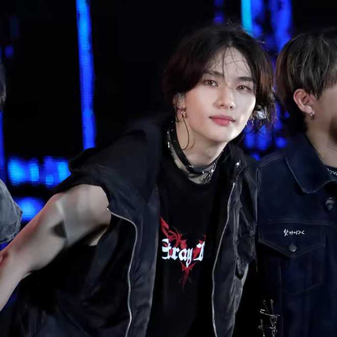 [PRE-ORDER] STRAY KIDS New DominATE 2024 T-shirts