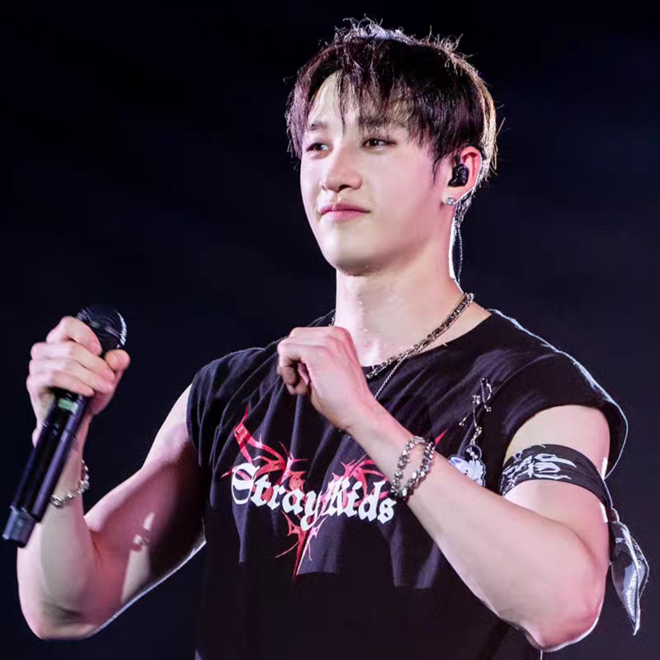 [PRE-ORDER] STRAY KIDS New DominATE 2024 T-shirts
