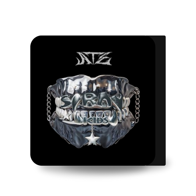 [Në Gjendje] STRAY KIDS ATE Mini Photocard Binder Series