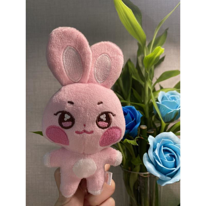 COMING SOON ✈️: Ddeongbyeoli Aniteez Plushies (25cm)