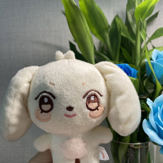 [PRE-ORDER] Aniteez Plushies (25cm)