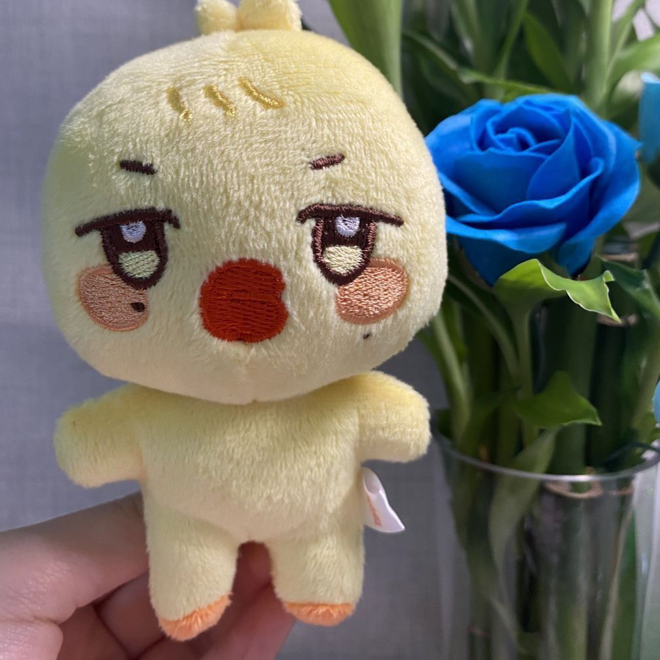 [PRE-ORDER] Aniteez Plushies (25cm)