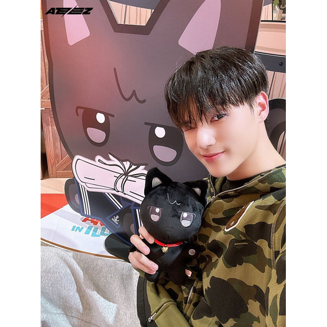 [PRE-ORDER] Aniteez Plushies (25cm)