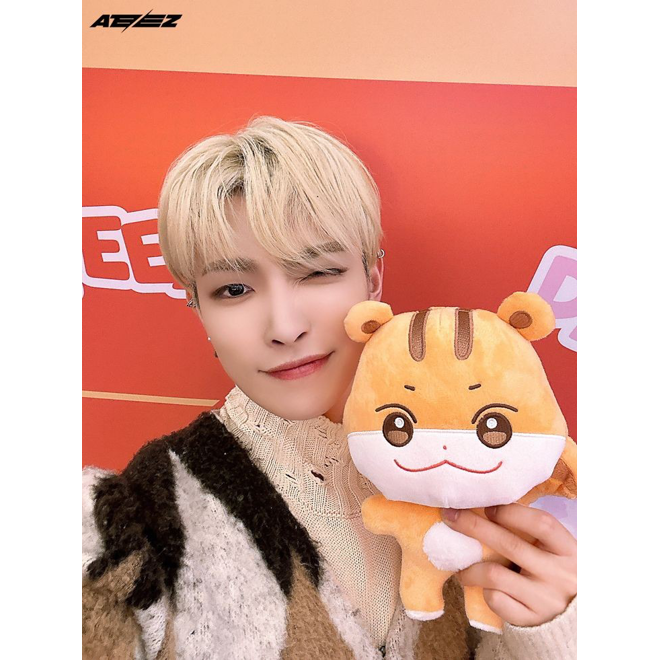[PRE-ORDER] Aniteez Plushies (25cm)