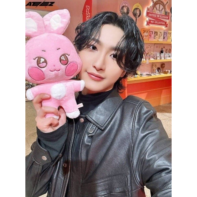 COMING SOON ✈️: Ddeongbyeoli Aniteez Plushies (25cm)