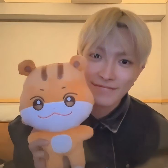 [PRE-ORDER] Aniteez Plushies (25cm)