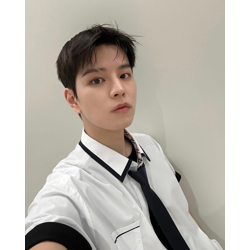 [PRE-ORDER] Stray Kids Your Hero lomocards (55pcs)