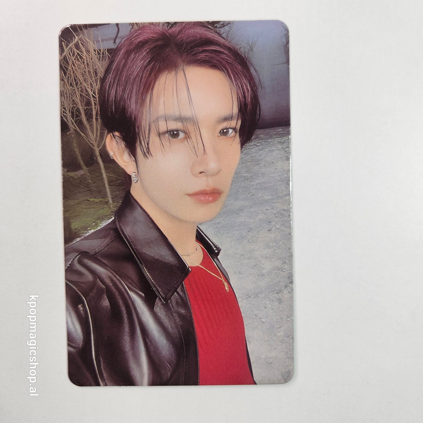 [Në Gjendje] ENHYPEN 'Walk The Line' Official Trading Cards