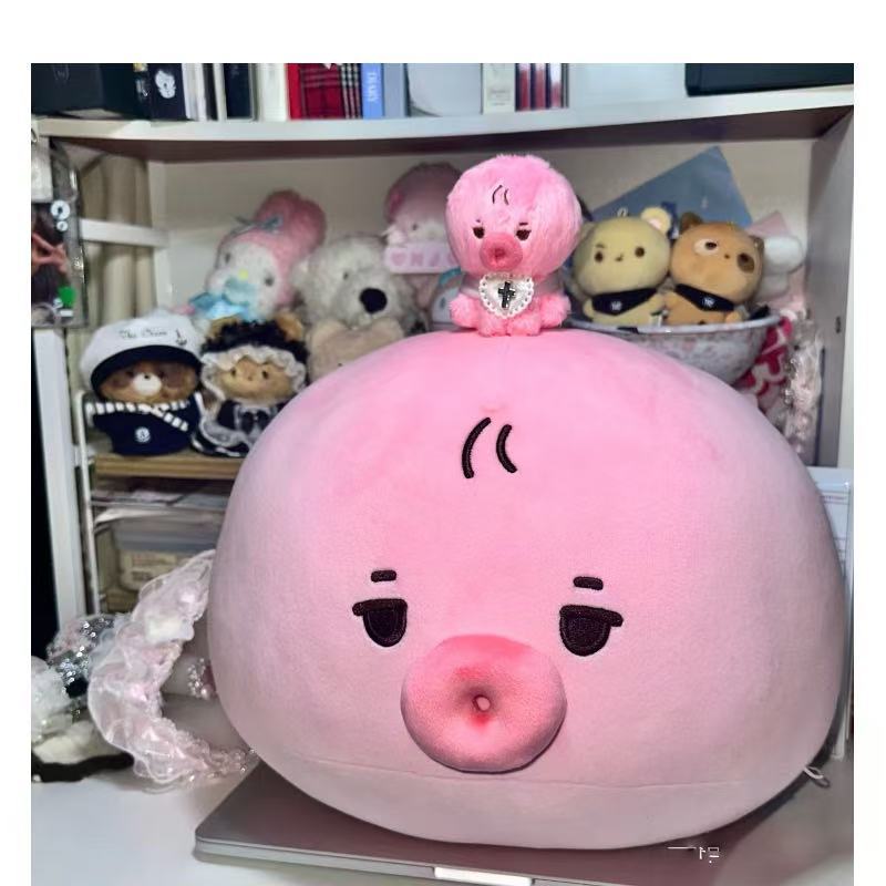 [PRE-ORDER] The Boyz Sunwoo 30cm Pillow Plushie