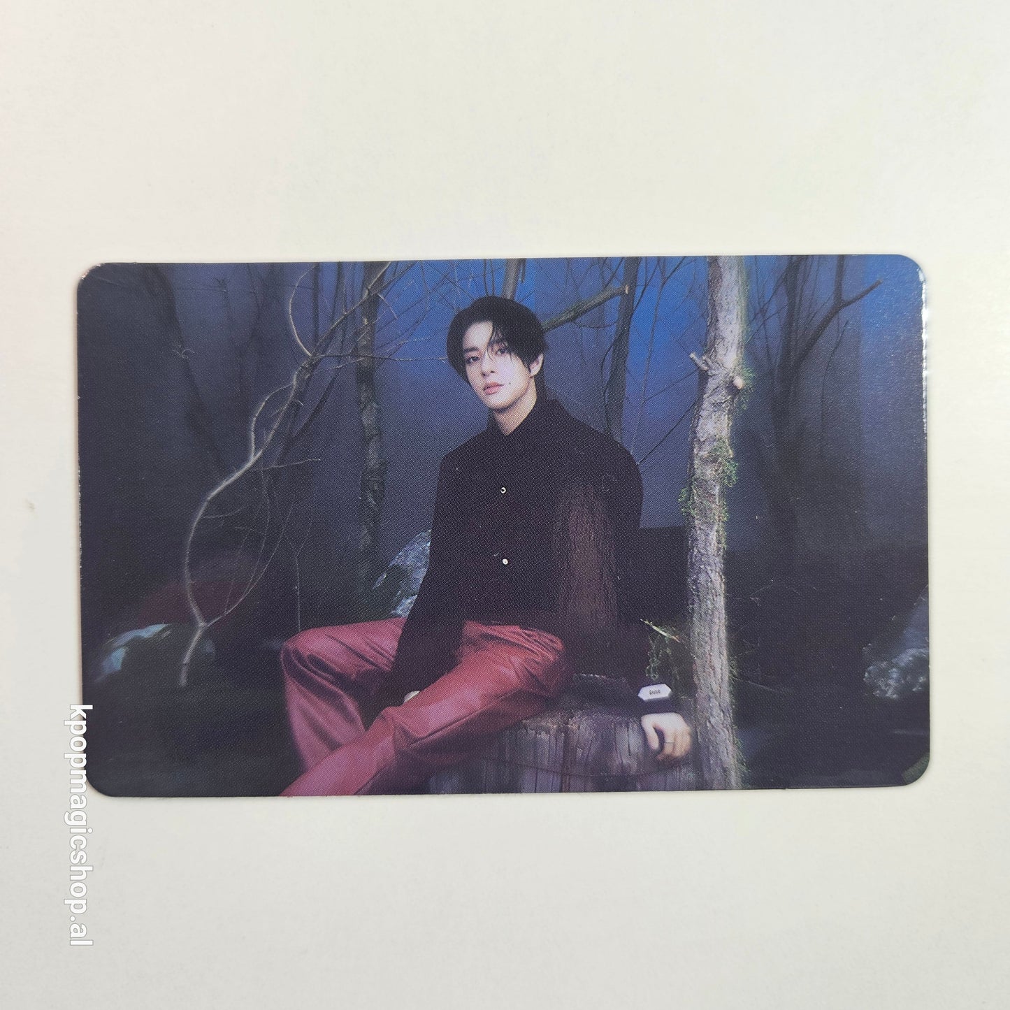 [Në Gjendje] ENHYPEN 'Walk The Line' Official Trading Cards