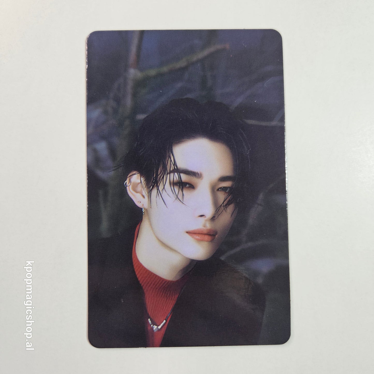 [Në Gjendje] ENHYPEN 'Walk The Line' Official Trading Cards