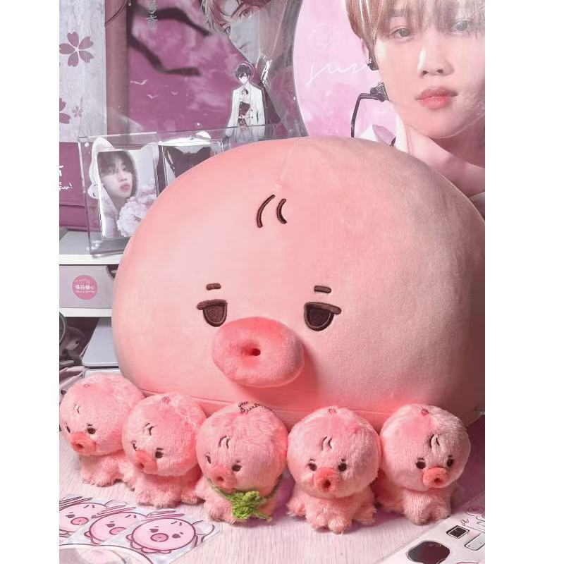 [PRE-ORDER] The Boyz Sunwoo 30cm Pillow Plushie