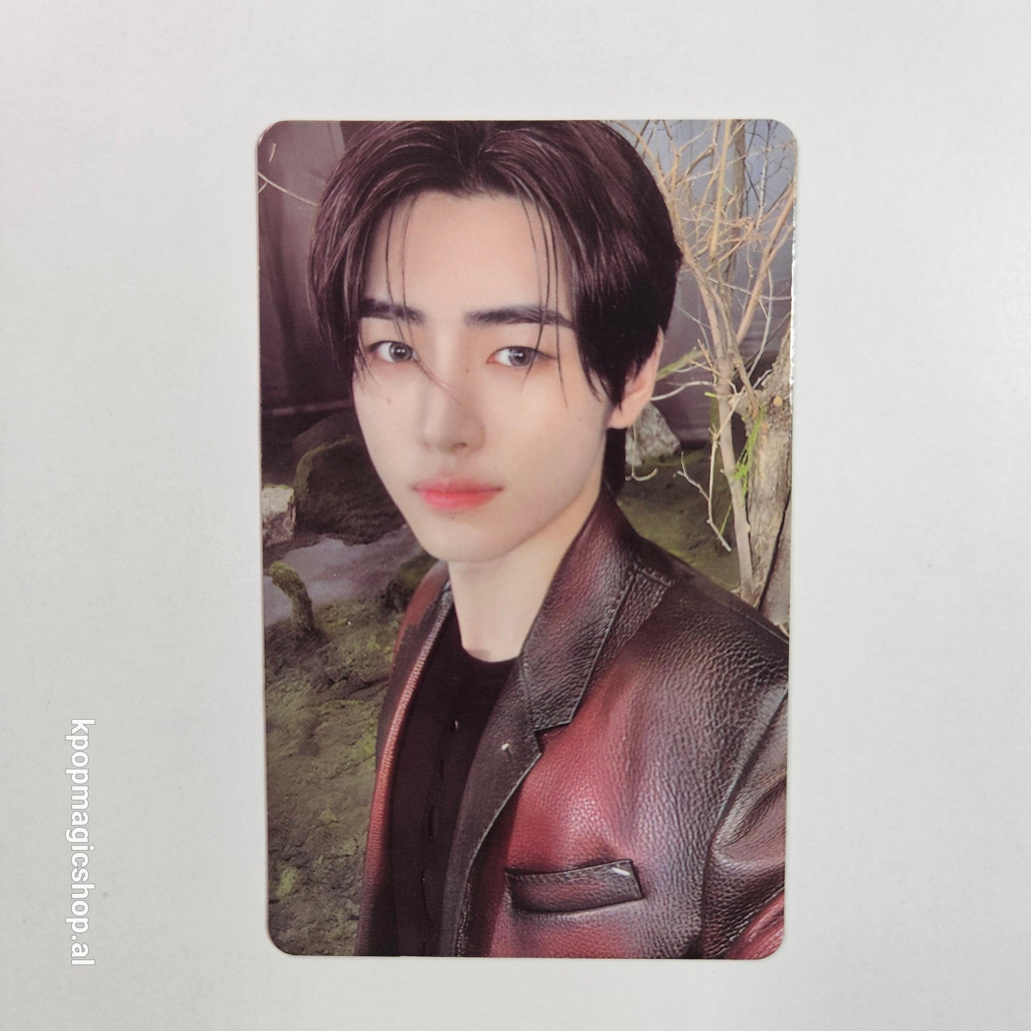 [Në Gjendje] ENHYPEN 'Walk The Line' Official Trading Cards