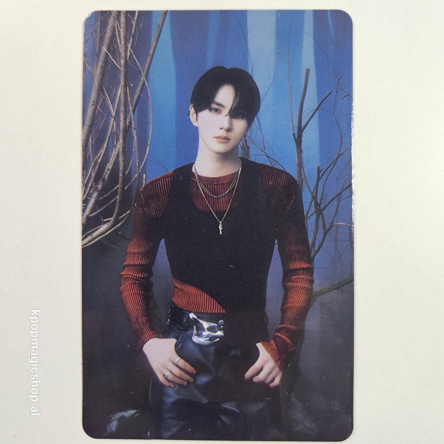[Në Gjendje] ENHYPEN 'Walk The Line' Official Trading Cards